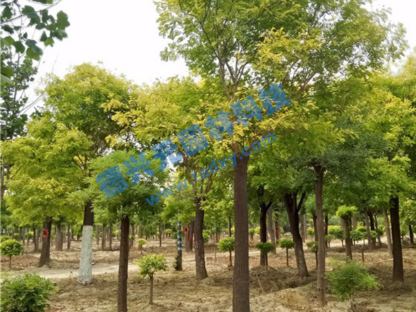 c鿴ԔϢ(bio)}~ xΔ(sh)2222